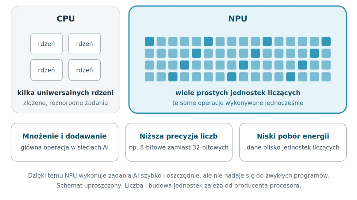 Uproszczony schemat porównuje CPU, oznaczone jako układ kilku uniwersalnych rdzeni, z NPU, przedstawionym jako wiele prostych jednostek liczących wykonujących zadania jednocześnie. NPU wyróżnia się mnożeniem i dodawaniem, niższą precyzją liczb, niskim poborem energii oraz szybszym działaniem AI, lecz nie nadaje się do zwykłych programów.