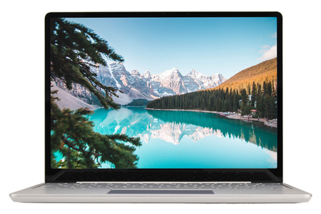 Microsoft Surface Laptop Go 1943 12.4" i5-1035G1 4 GB 64 GB Dotykowy | Windows 11 Pro | Klasa Supreme