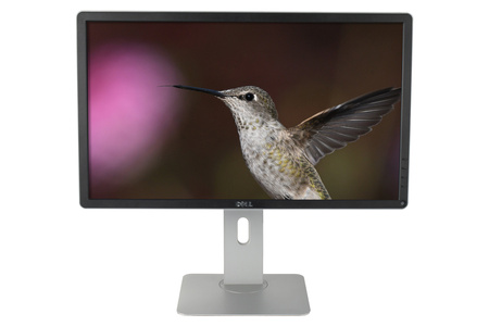 Dell P2314Hc 23" FHD Klasa A