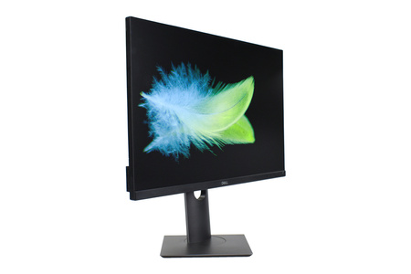 Dell P2421 24" WUXGA 