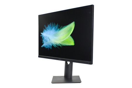 Dell P2421 24" WUXGA 