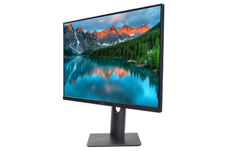 Monitor Dell P2421 24" WUXGA 