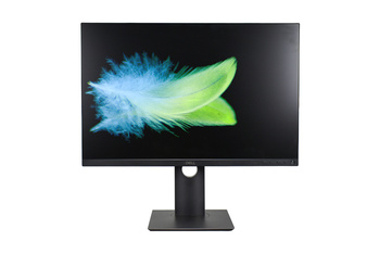 Dell P2421 24" WUXGA