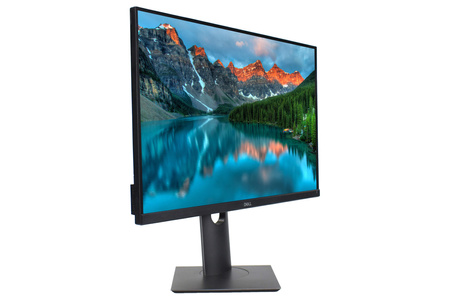Monitor Dell P2421 24" WUXGA