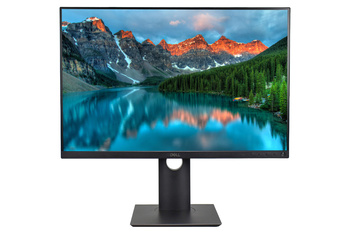 Monitor Dell P2421 24" WUXGA