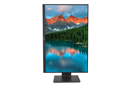 Monitor Dell P2421 24" WUXGA 