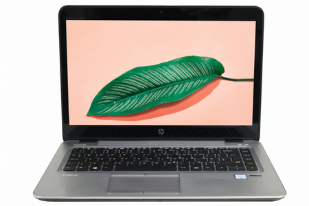 HP EliteBook 840 G4 14" i5-7300U 8 GB 256 HD  US QWERTY Windows 10 Pro Grade A-