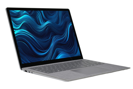 Microsoft Surface Laptop 4 1950 13.5" i5-1145G7 8 GB 256 GB Touch | Windows 11 Pro | Class Standard